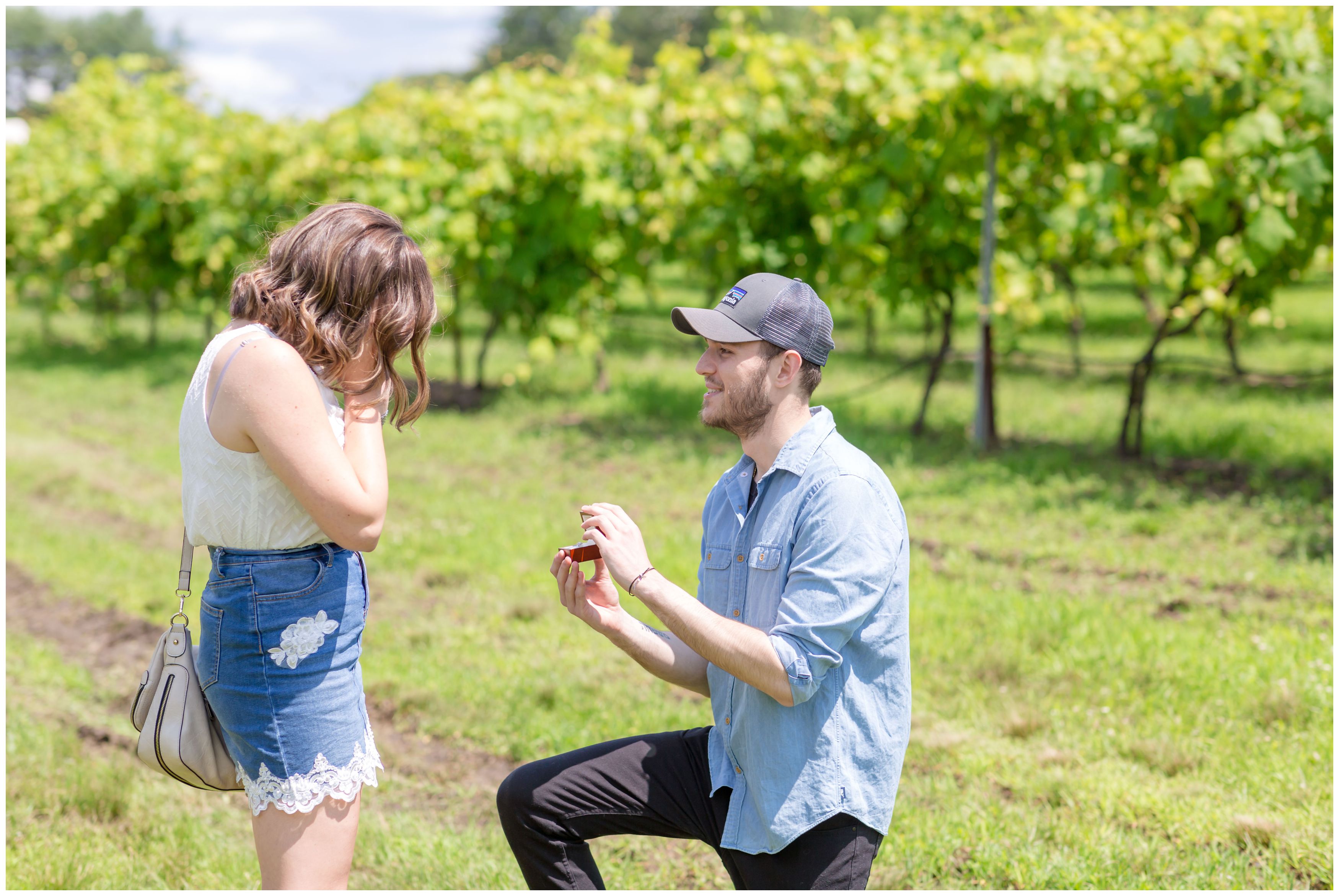 Laurita Winery Proposal
