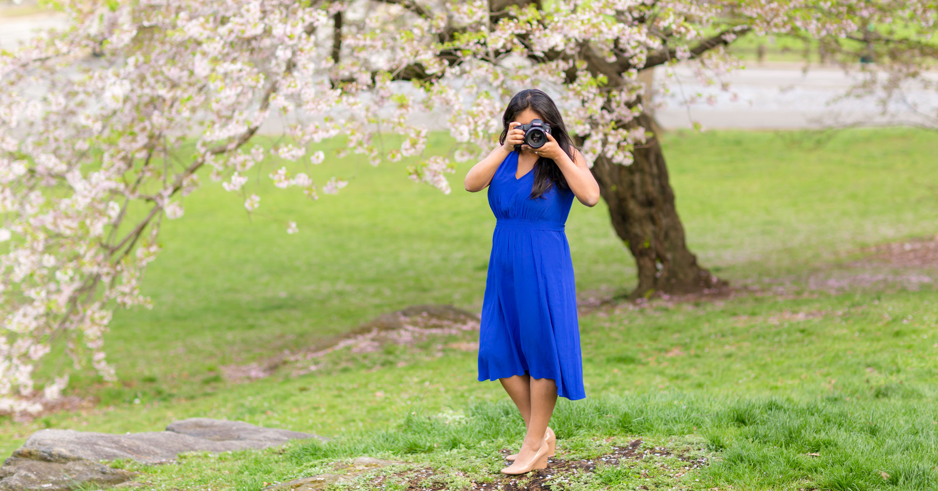 Rebecca Lori Photography Cherry Blossoms